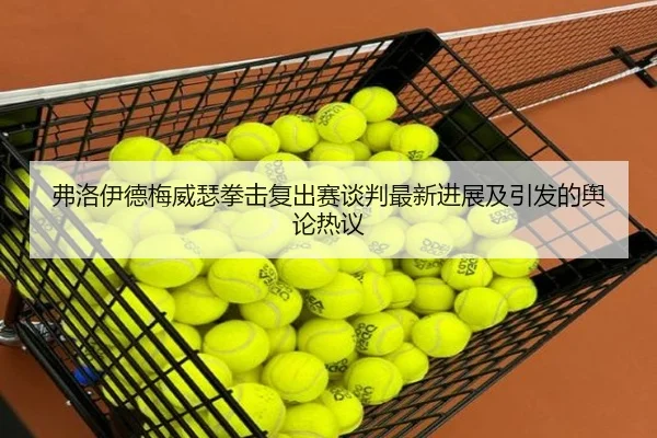 弗洛伊德梅威瑟拳击复出赛谈判最新进展及引发的舆论热议
